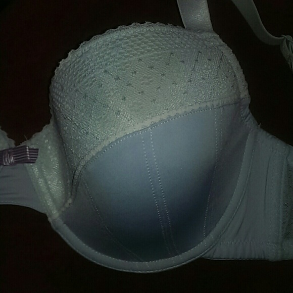 PARFAIT Satin/Lace Underwire Seashell Bra 30I/30G - Picture 5 of 8